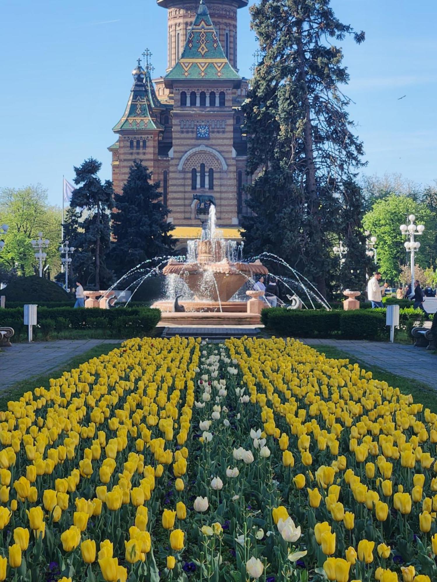 Central, Big Terrace, Near River Тимишоара Экстерьер фото